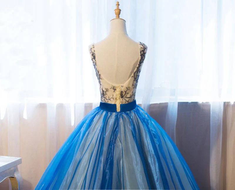 Ball Gown Quinceanera Dresses Princess Dress Unique V Neck Blue Embroidery Long Prom Dress Sweet 16 Dress