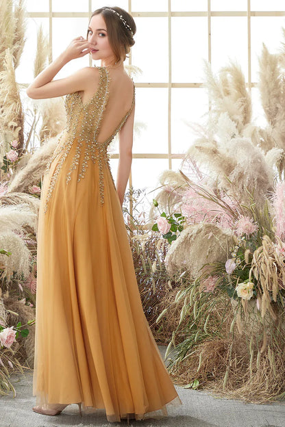 Low V-neck Tulle Long Prom Dress with Appliques